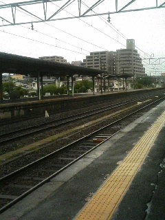 080510_1203~02.JPG