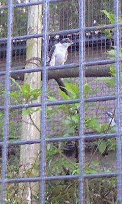 100501_1640~0001.jpg